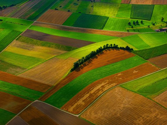 field aerial view