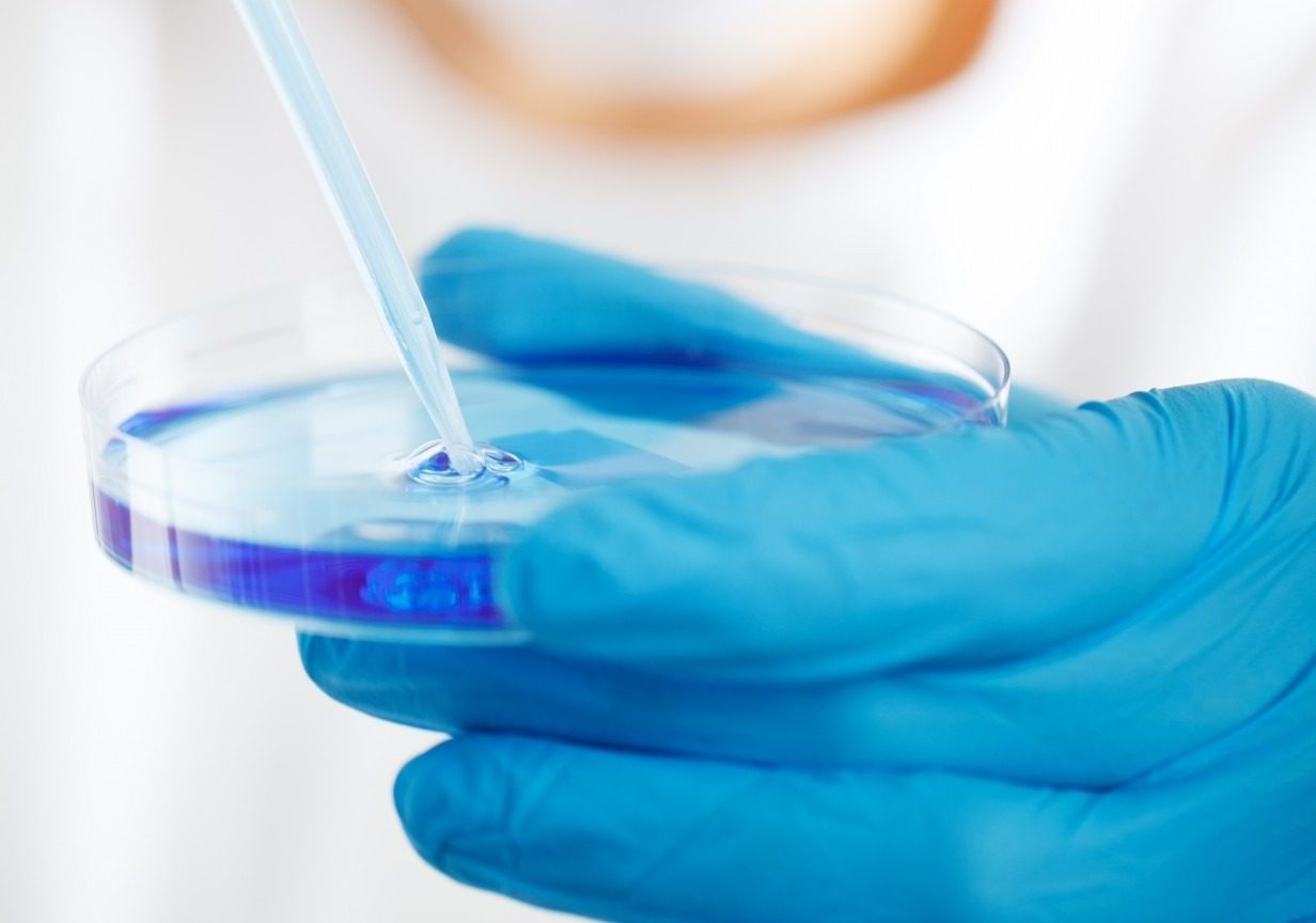 Human germline genome editing