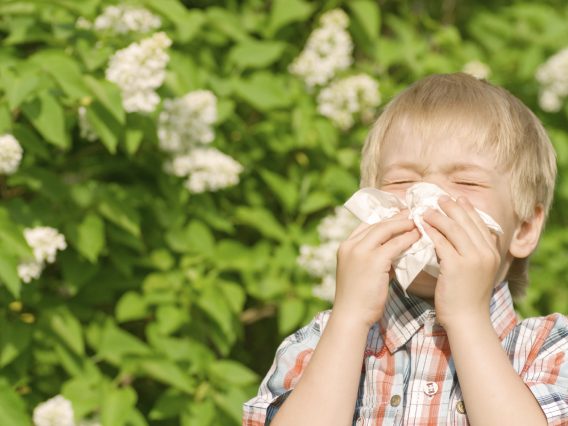 A child sneezing into a tissue