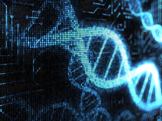 The double helix of the DNA, appears to be made in glistening data inside a digital screen.