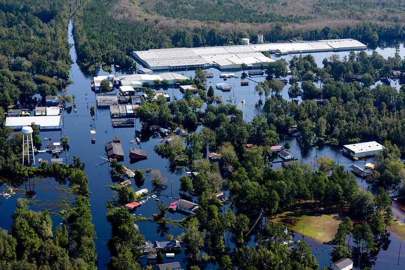 Natural mitigation of flood risk