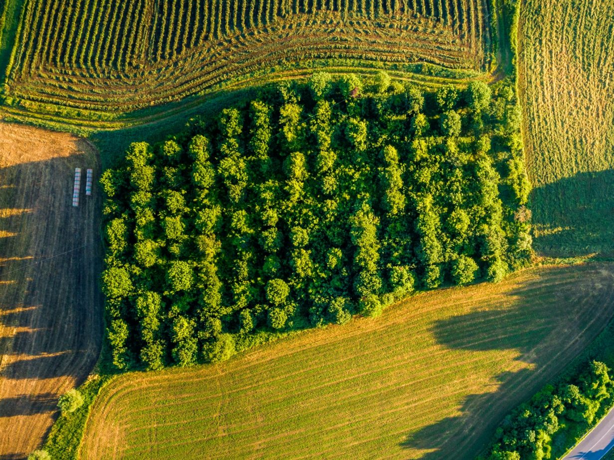 Managing land uses for environmental benefits