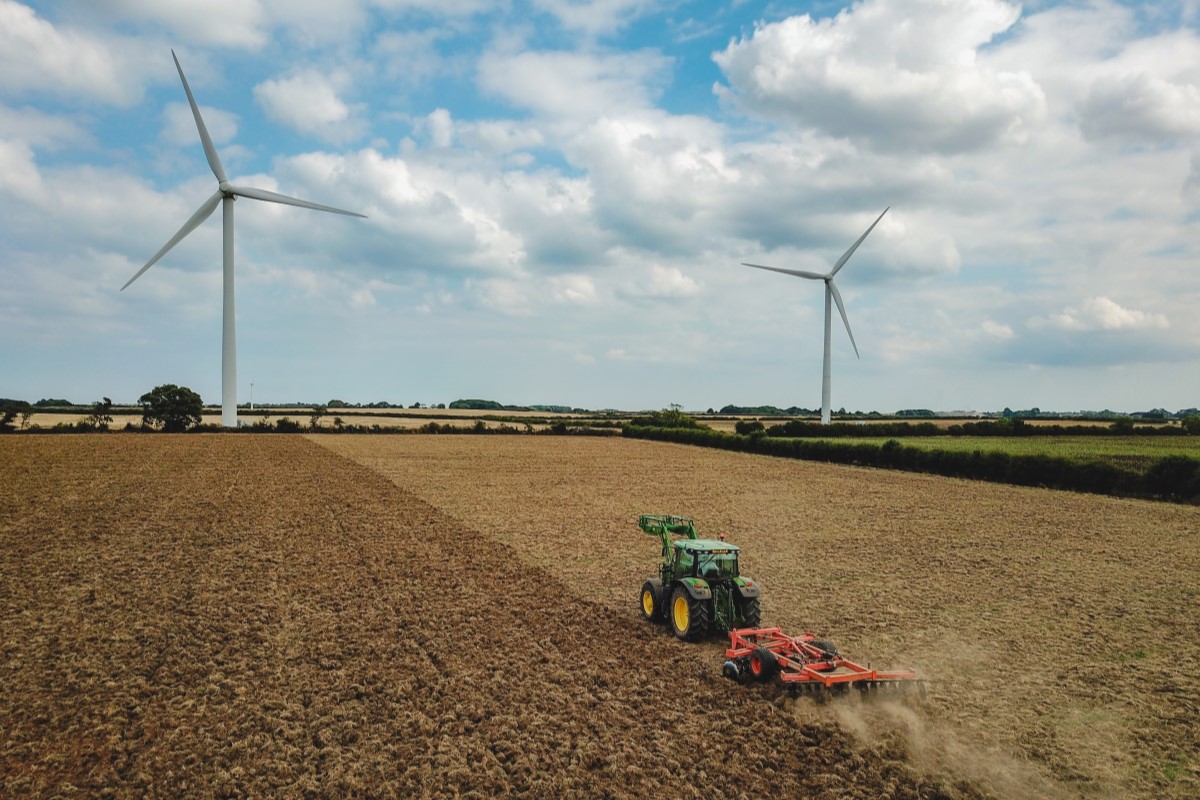 Differing approaches to reaching Net Zero: pathways and timing