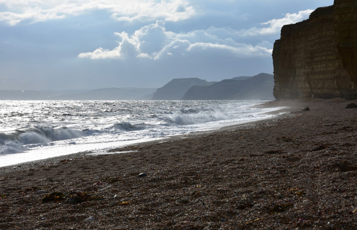 Coastal management