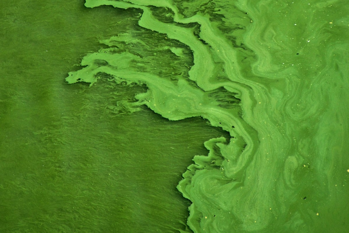 Reducing agricultural pressures on freshwater ecosystems