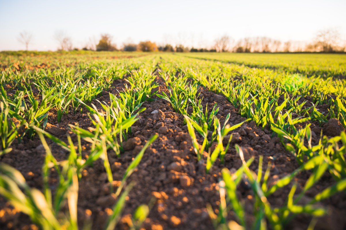 Restoring agricultural soils
